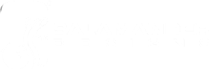 Salamander Designs Logo